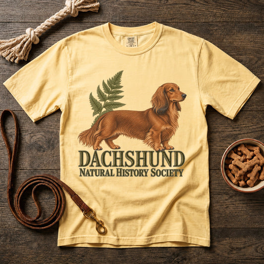 Dachshund Natural History Society Red Longhaired T-Shirt