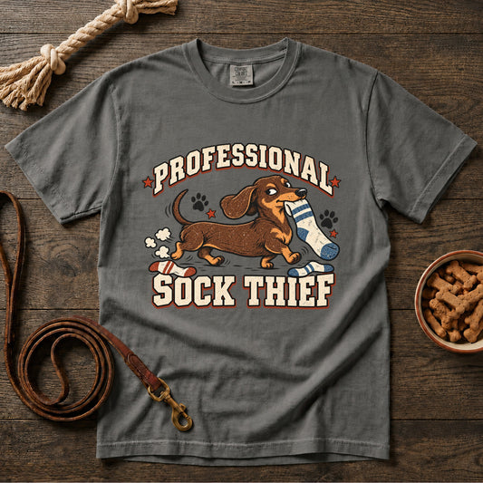 Professional Sock Thief T-Shirt