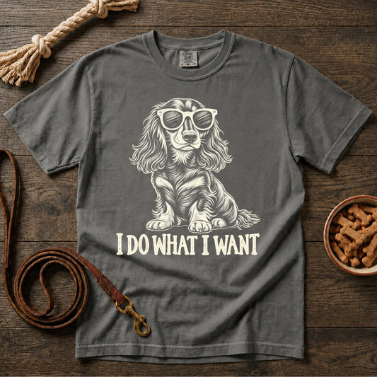 I Do What I Want T-Shirt