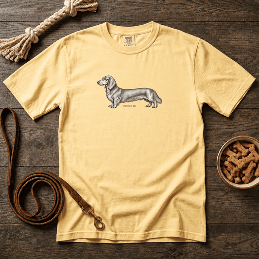 Specimen 101 Longhaired Doxie T-Shirt