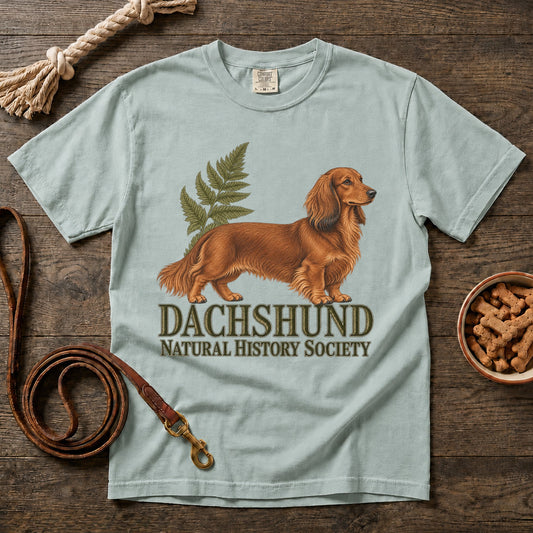 Dachshund Natural History Society Red Longhaired T-Shirt