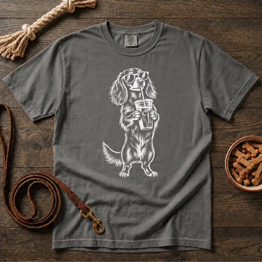 Iced Coffee and Little Paws Longhaired Dachshund T-Shirt
