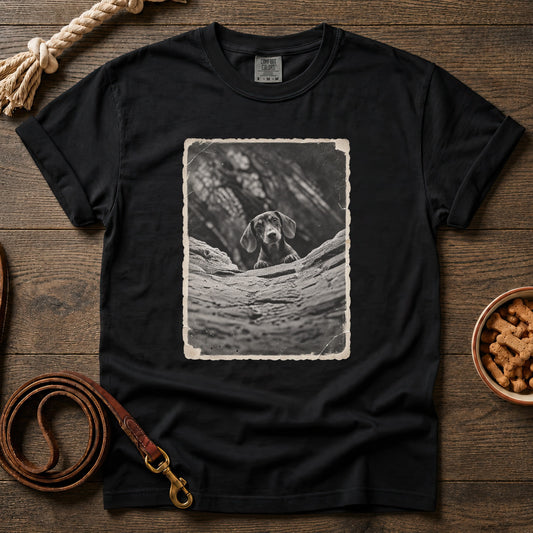 Peekaboo, Little Doxie T-Shirt
