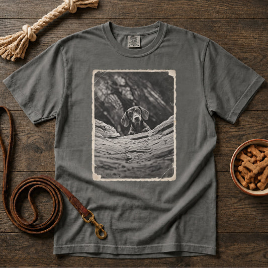 Peekaboo, Little Doxie T-Shirt