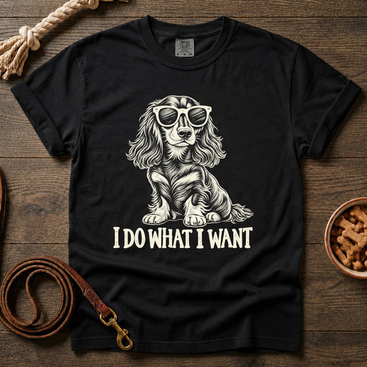 I Do What I Want T-Shirt